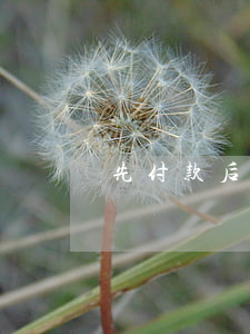 先付款后消費靠譜嗎？聽聽律師怎么說…