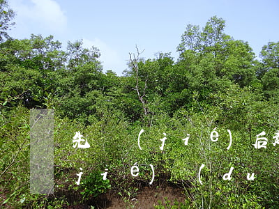 先凍結(jié)后起訴可以嗎(起訴凍結(jié)對(duì)方賬戶馬上會(huì)凍結(jié)嗎)
