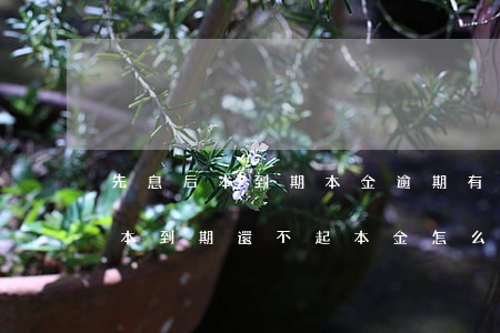 先息后本到期本金逾期有什么影響-先息后本到期還不起本金怎么辦?