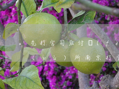 先打官司后付費(fèi)南京市律師事務(wù)所(南京打官司請(qǐng)律師費(fèi)用多少)