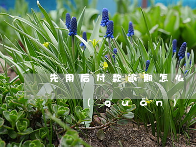 先用后付款逾期怎么辦(先用后付逾期了怎么辦,關(guān)閉功能了我付不了怎么辦)