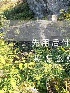 先用后付逾期8天怎么辦 支付寶先用后付逾期怎么辦