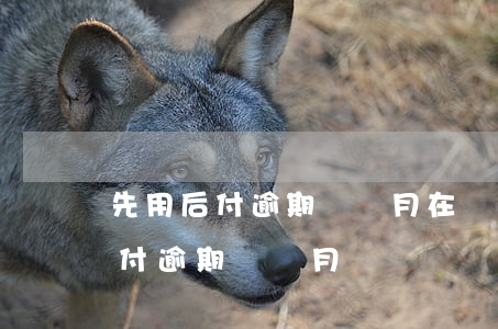 先用后付逾期兩個月在還會怎么樣-先用后付逾期幾個月