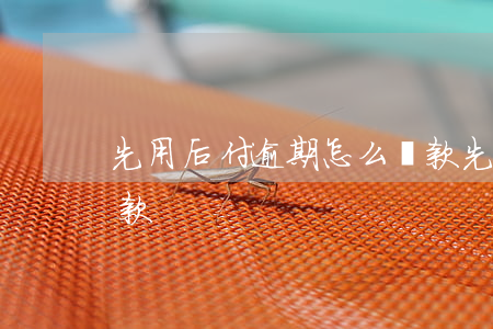先用后付逾期怎么還款(先用后付逾期怎么還款)