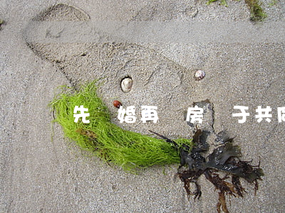 先訂婚再買房屬于共同才產(chǎn)嗎