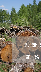 先訴訟離婚再分割財產(chǎn)可以嗎(離婚后可不可以起訴財產(chǎn)分割)