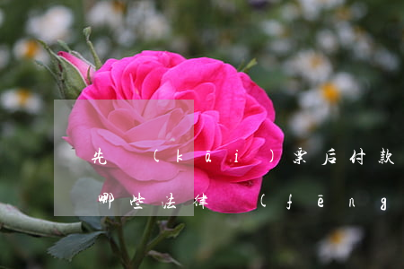 先開(kāi)票后付款會(huì)存在哪些法律風(fēng)險(xiǎn)