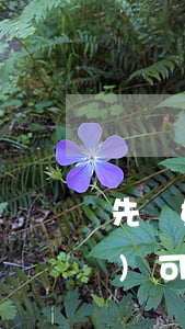 先離婚后再分割財(cái)產(chǎn)可以嗎(可以先分財(cái)產(chǎn)在離婚嗎?)
