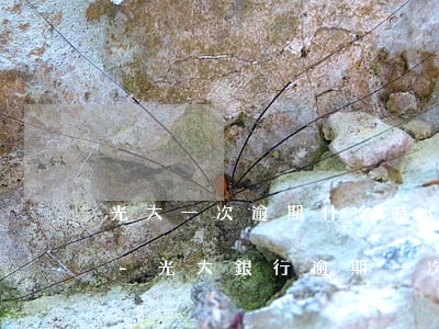光大一次逾期什么時(shí)候可以提額-光大銀行逾期一次,是不是就不能用了