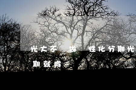 光大不給做個性化分期(光大銀行讓分期不分期就降額)