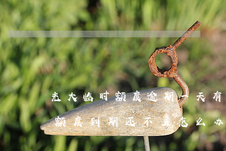 光大临时额度逾期一天有影响吗-光大临时额度到期还不上怎么办