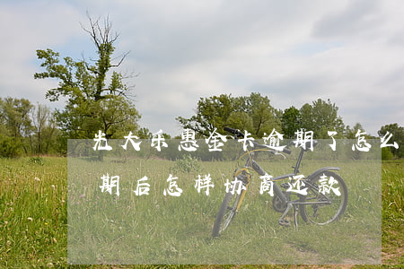 光大乐惠金卡逾期了怎么办（光大乐惠金卡逾期后怎样协商还款）
