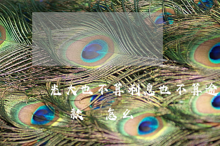 光大也不算利息也不算逾期咋回事-光大不還款會怎么樣