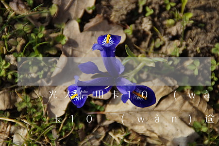 光大信用卡10萬(wàn)逾期(光大信用卡10萬(wàn)逾期多久起訴)