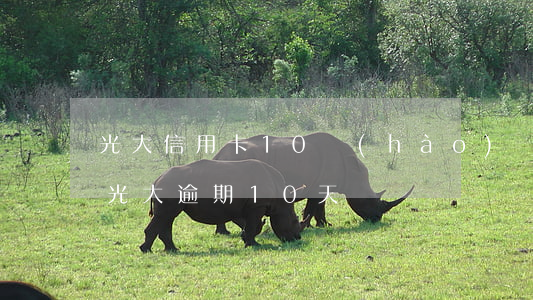 光大信用卡10號(hào)還款算逾期嗎(光大逾期10天)
