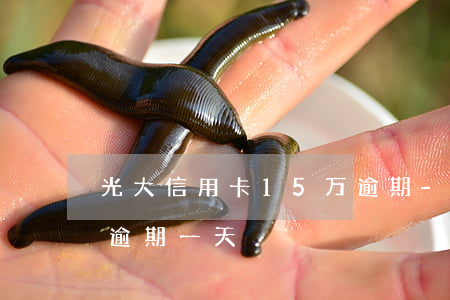 光大信用卡15万逾期-光大信用卡15万逾期一天