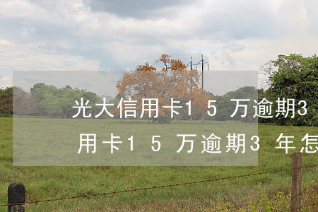 光大信用卡15万逾期3年怎么办-光大信用卡15万逾期3年怎么办理