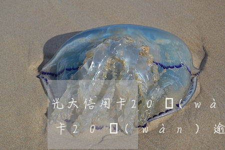 光大信用卡20萬(wàn)逾期（光大信用卡20萬(wàn)逾期）