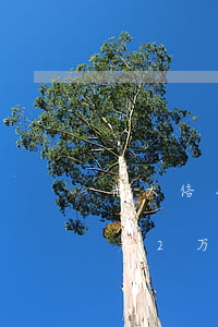 光大信用卡2万逾期2年变多少-光大信用卡2万逾期2年变多少利息