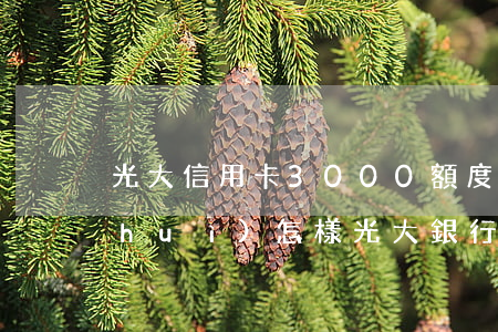 光大信用卡3000額度逾期兩年多了 會(huì)怎樣（光大銀行信用卡逾期3萬）