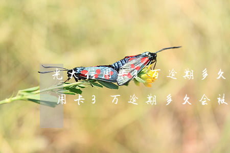 光大信用卡3万逾期多久会被起诉-光大信用卡3万逾期多久会被起诉呢