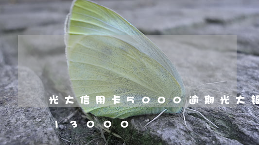 光大信用卡5000逾期(光大银行信用卡欠13000)