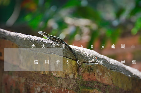 光大信用卡50元逾期半個(gè)月（光大信用卡50元逾期半個(gè)月）