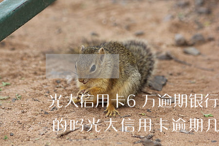 光大信用卡6万逾期银行打电话要报案是真的吗（光大信用卡逾期几天打紧急联系人）