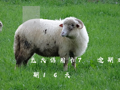 光大信用卡7萬逾期五天利息（光大信用卡逾期16天）