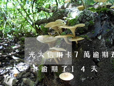 光大信用卡7萬逾期五天利息（光大銀行信用卡逾期了14天）