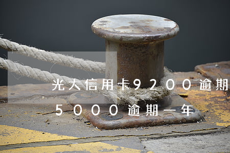 光大信用卡9200逾期2年(光大信用卡85000逾期一年)