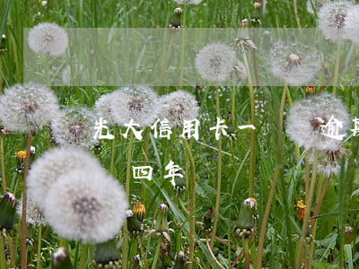 光大信用卡一萬塊逾期兩年(欠光大信用卡一萬四年)