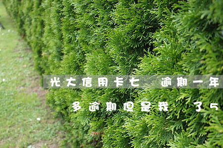 光大信用卡七萬逾期一年(光大信用卡欠款一萬多逾期但是我還了500)