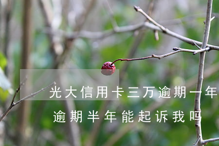 光大信用卡三万逾期一年(光大信用卡两万多逾期半年,能起诉我吗)