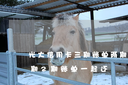 光大信用卡三期账单两期逾期6 光大逾期1期2期账单一起还