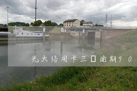 光大信用卡三萬逾期90天