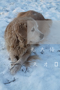 光大信用卡三萬逾期后果(光大信用卡逾期3天才還進去會怎么樣)