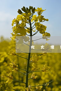光大信用卡上門