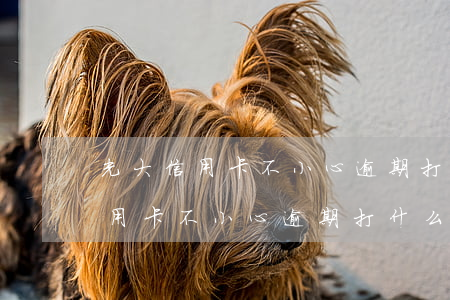 光大信用卡不小心逾期打什么電話-光大信用卡不小心逾期打什么電話投訴