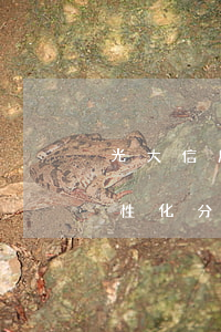 光大信用卡个性化分期减免利息么-光大个性化分期还收利息