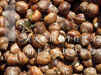 光大信用卡个性化分期都要面签吗-光大信用卡个性化分期都要面签吗