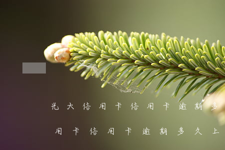 光大信用卡信用卡逾期多久上征信-光大信用卡信用卡逾期多久上征信記錄