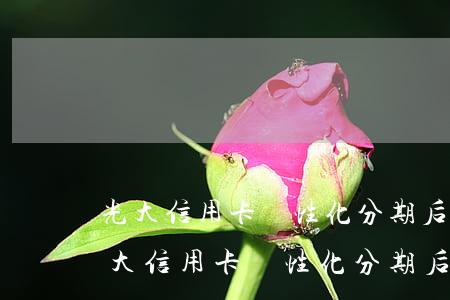 光大信用卡個性化分期后賬單還在增加-光大信用卡個性化分期后賬單還在增加額度嗎