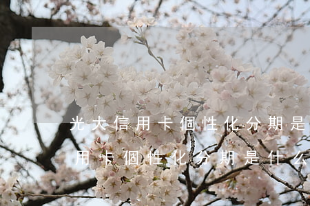 光大信用卡個性化分期是什么意思-光大信用卡個性化分期是什么意思啊