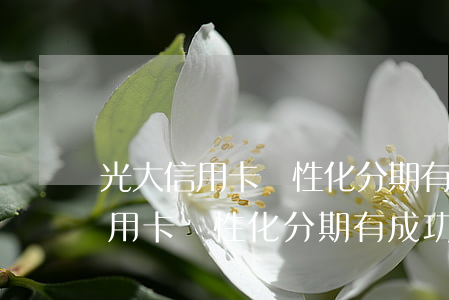 光大信用卡個性化分期有成功的嗎-光大信用卡個性化分期有成功的嗎安全嗎