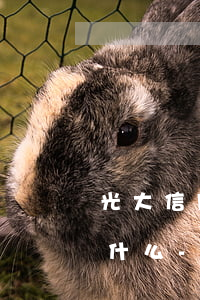 光大信用卡做個(gè)性化分期需要注意什么-光大信用卡做個(gè)性化分期需要注意什么問題