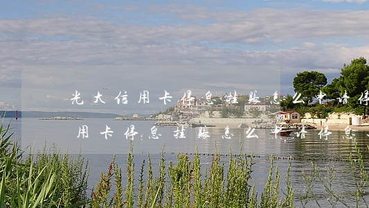 光大信用卡停息挂账怎么申请停息-光大信用卡停息挂账怎么申请停息还本