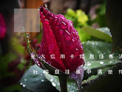 光大信用卡停息挂账法务咨询上海-光大银行停息挂账申请条件