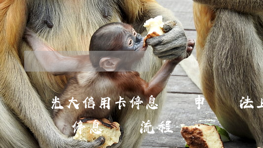 光大信用卡停息掛賬申請辦法上海-光大申請停息掛賬流程