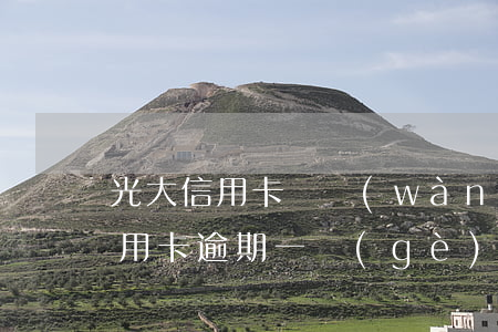 光大信用卡兩萬(wàn)逾期半年(光大信用卡逾期一個(gè)月多 還了 還能使用嗎)